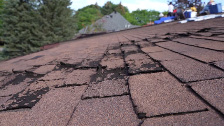 Best Roof Leak Repair  in Shortsville, NY