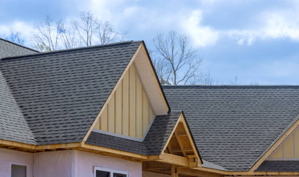 Best Roof Moss and Algae Removal  in Shortsville, NY